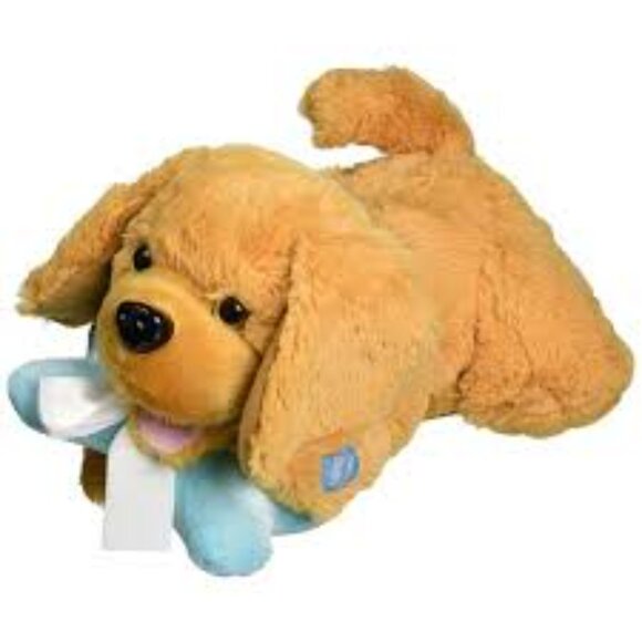 ghf - Picture 13 of 16